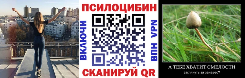 Галлюциногенные грибы Magic Shrooms  Купить где  Задонск 